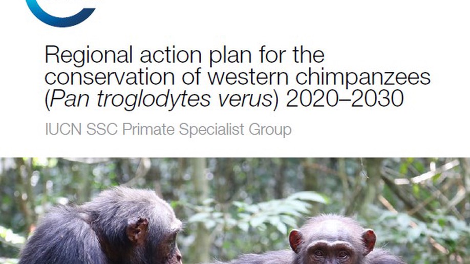 Regional action plan for the conservation of western chimpanzees (Pan troglodytes verus) 2020–2030
